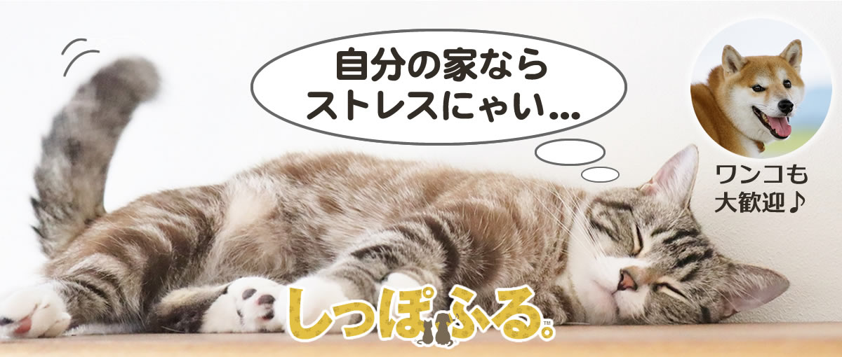 しっぽふるメイン画像